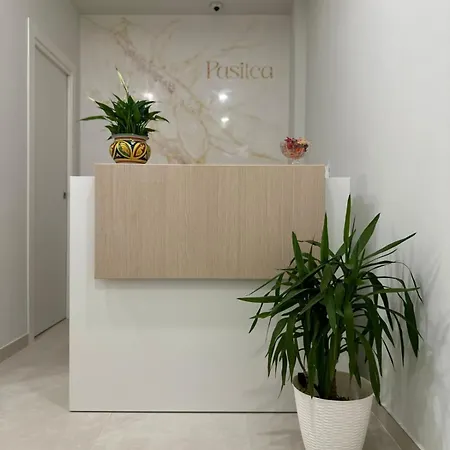 Pasitea 3*